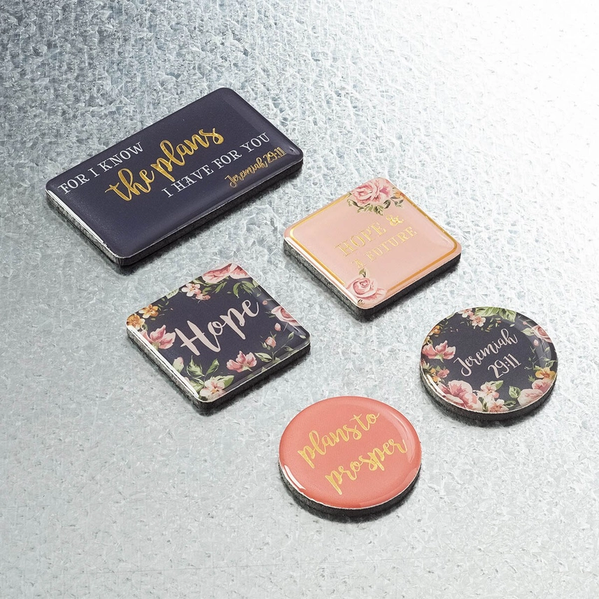 Magnet Set Plans to Prosper/Hope & a Future